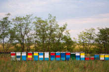 Load image into Gallery viewer, Honey from our Apiary
